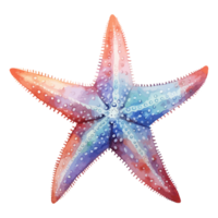 estrella de mar acuarela, mar animales acuarela cuadro, generativo ai. png