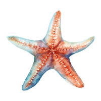 estrella de mar acuarela, mar animales acuarela cuadro, generativo ai. png