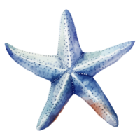 stella marina acquerello, mare animali acquerello la pittura, generativo ai. png