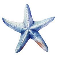 estrella de mar acuarela, mar animales acuarela cuadro, generativo ai. png