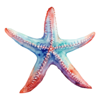 estrella de mar acuarela, mar animales acuarela cuadro, generativo ai. png