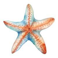 estrella de mar acuarela, mar animales acuarela cuadro, generativo ai. png