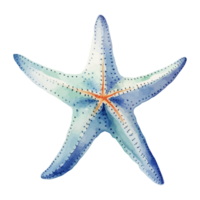 estrella de mar acuarela, mar animales acuarela cuadro, generativo ai. png