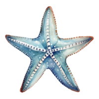 estrella de mar acuarela, mar animales acuarela cuadro, generativo ai. png