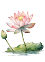 bloemen samenstelling met lotus, hand- trek waterverf geïsoleerd illustratie Aan transparant achtergrond, generatief ai. png