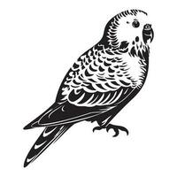 Budgerigar silhouette, Budgerigar mascot logo, Budgerigar Black and White Animal Symbol Design, Bird icon. vector