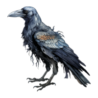 effrayant mort corbeau oiseau squelette Halloween png