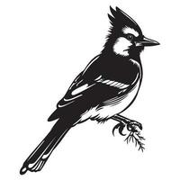 Blue jay silhouette, Blue jay mascot logo, Blue jay Black and White Animal Symbol Design, Bird icon. vector