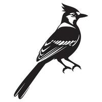 azul arrendajo silueta, azul arrendajo mascota logo, azul arrendajo negro y blanco animal símbolo diseño, pájaro icono. vector