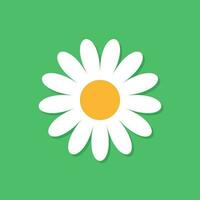 Chamomile flower vector icon in flat style. Daisy illustration on green isolated background. Camomile sign concept.