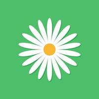 Chamomile flower vector icon in flat style. Daisy illustration on green isolated background. Camomile sign concept.