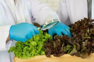 científico equipo haciendo experimentar en agricultura laboratorio a desarrollar genético modificación cultivos foto