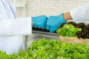 Scientist Team Doing Experiment in Agriculture Lab to Develope Genetic Modification Crops photo