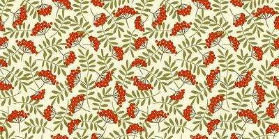 Autumn seamless pattern with Rowan. Vector background for various surface. Hand drawn textures.