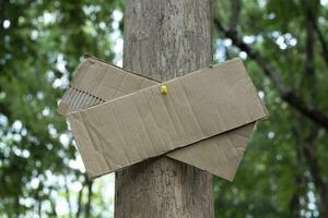 Tree trunk which has blank cardboard sticked on the bark, concept for environment study, nature study, calling out all people to respect environment and join world environment day campaign. photo