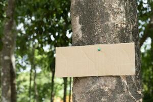 Tree trunk which has blank cardboard sticked on the bark, concept for environment study, nature study, calling out all people to respect environment and join world environment day campaign. photo