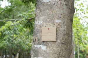 árbol maletero cuales tiene blanco cartulina pegado en el ladrar, concepto para ambiente estudiar, naturaleza estudiar, vocación fuera todas personas a el respeto ambiente y unirse mundo ambiente día campaña. foto