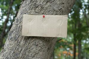 Tree trunk which has blank cardboard sticked on the bark, concept for environment study, nature study, calling out all people to respect environment and join world environment day campaign. photo