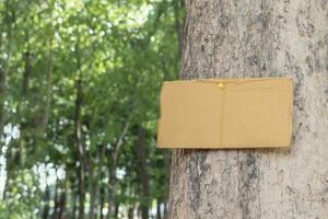 Tree trunk which has blank cardboard sticked on the bark, concept for environment study, nature study, calling out all people to respect environment and join world environment day campaign. photo