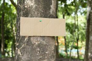 Tree trunk which has blank cardboard sticked on the bark, concept for environment study, nature study, calling out all people to respect environment and join world environment day campaign. photo