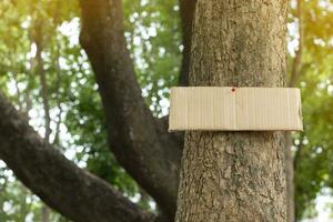 árbol maletero cuales tiene blanco cartulina pegado en el ladrar, concepto para ambiente estudiar, naturaleza estudiar, vocación fuera todas personas a el respeto ambiente y unirse mundo ambiente día campaña. foto