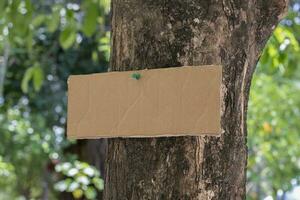 Tree trunk which has blank cardboard sticked on the bark, concept for environment study, nature study, calling out all people to respect environment and join world environment day campaign. photo