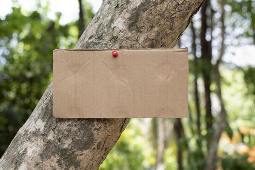 Tree trunk which has blank cardboard sticked on the bark, concept for environment study, nature study, calling out all people to respect environment and join world environment day campaign. photo