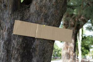 Tree trunk which has blank cardboard sticked on the bark, concept for environment study, nature study, calling out all people to respect environment and join world environment day campaign. photo