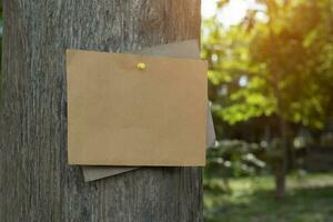 Tree trunk which has blank cardboard sticked on the bark, concept for environment study, nature study, calling out all people to respect environment and join world environment day campaign. photo