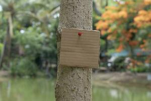 Tree trunk which has blank cardboard sticked on the bark, concept for environment study, nature study, calling out all people to respect environment and join world environment day campaign. photo