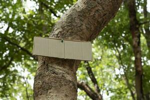 Tree trunk which has blank cardboard sticked on the bark, concept for environment study, nature study, calling out all people to respect environment and join world environment day campaign. photo