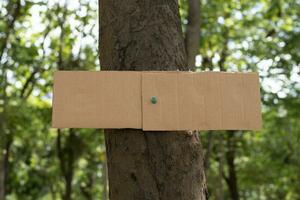 Tree trunk which has blank cardboard sticked on the bark, concept for environment study, nature study, calling out all people to respect environment and join world environment day campaign. photo