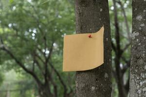 Tree trunk which has blank cardboard sticked on the bark, concept for environment study, nature study, calling out all people to respect environment and join world environment day campaign. photo