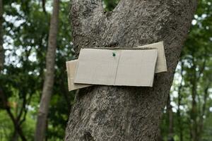 Tree trunk which has blank cardboard sticked on the bark, concept for environment study, nature study, calling out all people to respect environment and join world environment day campaign. photo