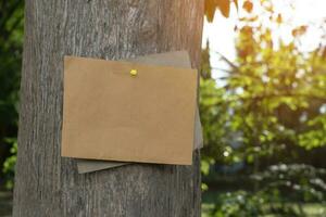 Tree trunk which has blank cardboard sticked on the bark, concept for environment study, nature study, calling out all people to respect environment and join world environment day campaign. photo