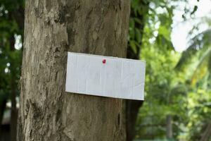 árbol maletero cuales tiene blanco cartulina pegado en el ladrar, concepto para ambiente estudiar, naturaleza estudiar, vocación fuera todas personas a el respeto ambiente y unirse mundo ambiente día campaña. foto