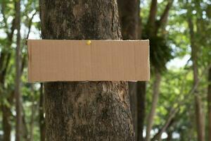 Tree trunk which has blank cardboard sticked on the bark, concept for environment study, nature study, calling out all people to respect environment and join world environment day campaign. photo