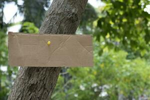 Tree trunk which has blank cardboard sticked on the bark, concept for environment study, nature study, calling out all people to respect environment and join world environment day campaign. photo