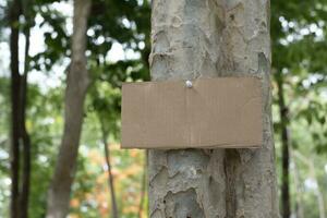 Tree trunk which has blank cardboard sticked on the bark, concept for environment study, nature study, calling out all people to respect environment and join world environment day campaign. photo