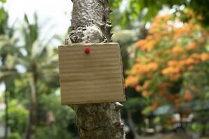 Tree trunk which has blank cardboard sticked on the bark, concept for environment study, nature study, calling out all people to respect environment and join world environment day campaign. photo