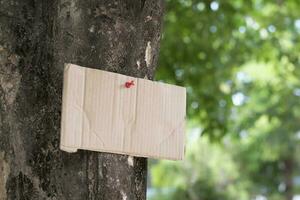 Tree trunk which has blank cardboard sticked on the bark, concept for environment study, nature study, calling out all people to respect environment and join world environment day campaign. photo