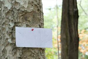 árbol maletero cuales tiene blanco cartulina pegado en el ladrar, concepto para ambiente estudiar, naturaleza estudiar, vocación fuera todas personas a el respeto ambiente y unirse mundo ambiente día campaña. foto