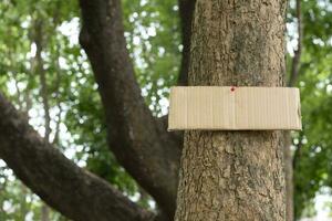 árbol maletero cuales tiene blanco cartulina pegado en el ladrar, concepto para ambiente estudiar, naturaleza estudiar, vocación fuera todas personas a el respeto ambiente y unirse mundo ambiente día campaña. foto