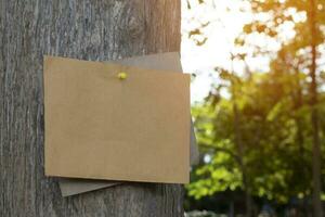 Tree trunk which has blank cardboard sticked on the bark, concept for environment study, nature study, calling out all people to respect environment and join world environment day campaign. photo