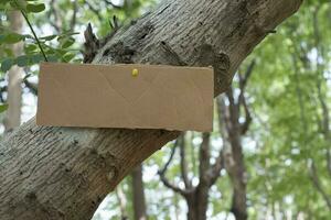 árbol maletero cuales tiene blanco cartulina pegado en el ladrar, concepto para ambiente estudiar, naturaleza estudiar, vocación fuera todas personas a el respeto ambiente y unirse mundo ambiente día campaña. foto