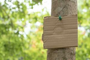 árbol maletero cuales tiene blanco cartulina pegado en el ladrar, concepto para ambiente estudiar, naturaleza estudiar, vocación fuera todas personas a el respeto ambiente y unirse mundo ambiente día campaña. foto