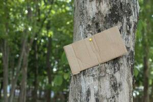 árbol maletero cuales tiene blanco cartulina pegado en el ladrar, concepto para ambiente estudiar, naturaleza estudiar, vocación fuera todas personas a el respeto ambiente y unirse mundo ambiente día campaña. foto