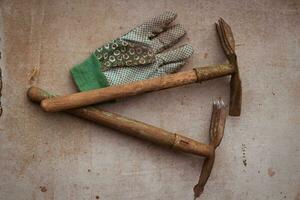 Tools for farming hoe chopper and mittens. On photo