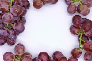 Racimo de uvas foto