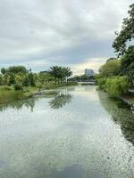 Taman tasik titiwangsa in Malaysia photo